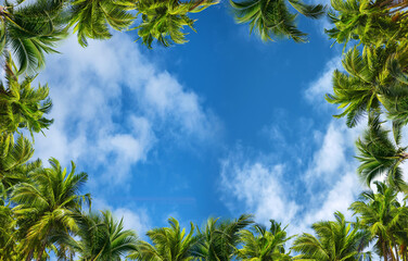 green palms and a cloudy blue sky