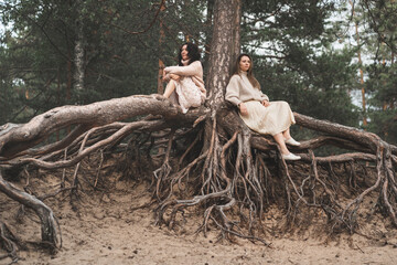 Conceptual photograph of brunettes among forest roots. Beautiful girls sit at the roots of trees...