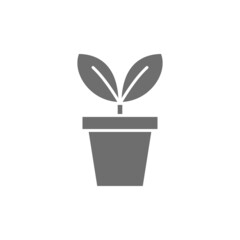 Vector flower in pot, flowerpot grey icon.