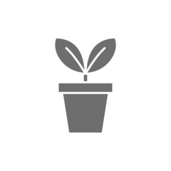 Vector flower in pot, flowerpot grey icon.