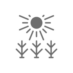 Vector sun shines on field grey icon.