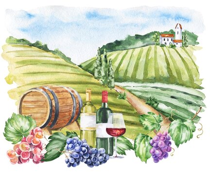 Wine Valley Watercolor Illustration. Vineyard Watercolour Landscape.