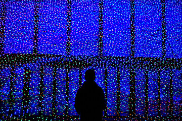 イルミネーションとシルエット