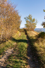 Obraz premium autumn landscape on the mountains of Genoa in Liguria in Italy