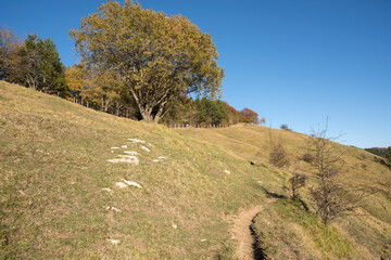 Obraz premium autumn landscape on the mountains of Genoa in Liguria in Italy