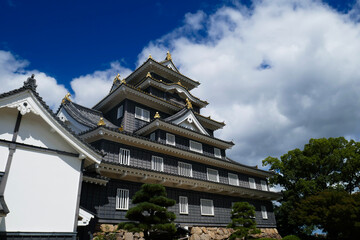 Fototapeta premium okayama castle