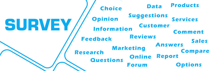 Survey Word Cloud Blue Lines Rounded Squares Horizontal 