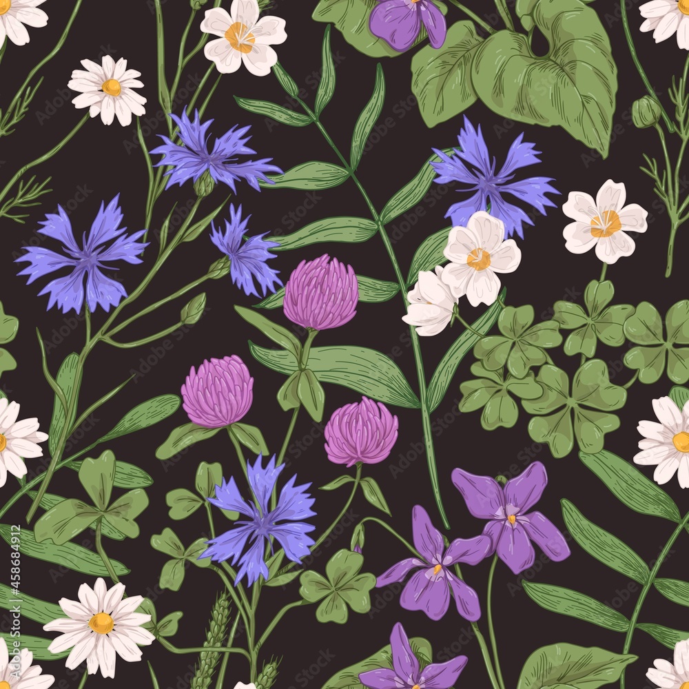 Poster seamless botanical pattern with wild herbs. vintage realistic floral background with meadow flower p