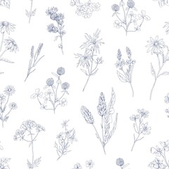 Fototapeta premium Outlined herbs pattern. Seamless vintage botanical background with wild flower plants. Black and white herbal texture. Repeating floral backdrop. Hand-drawn vector illustration of wrapping design