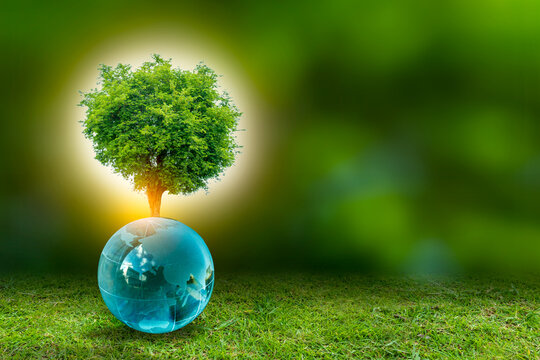 3D illustration Renewable energy concept Earth Day or environmental protection Protect the forests that grow on the ground and help save the planet.