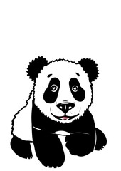 Cute panda bear cartoon