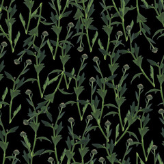 Photo and Digital Seamless Pattern with Nature Chrysanthemums Flowers.