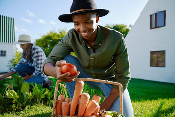 Mixed race male farmer working in vegetable patch holding fresh produce