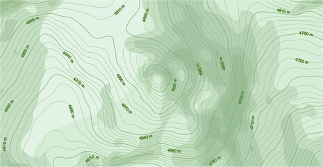 Abstract vector topographic map in green colors - obrazy, fototapety, plakaty