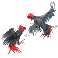 Beautiful image with watercolor fighting black roosters. Stock illustration. © zenina