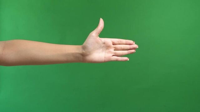 Woman Hand Showing Five Fingers On Green Screen Background, Stop Concept With Hand Up 
