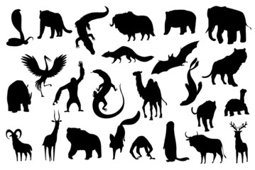 Collection of cute vector animals. Hand drawn silhouette animals which are common in Asia. Icon set isolated on a white background