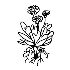 Vector branch with leaves for Halloween with black line on white background doodle style.Holiday,horror,scary illustration for all saints day hand drawn.Designs for invitations,social media,packaging.