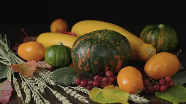 Autumn still life of orange-yellow pumpkins, yellow zucchini and tomatoes. Ears of ripe wheat with a branch of hawthorn and autumn leaves. Vegetables are beautifully on the table.