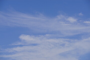 It feels like Autumn is coming