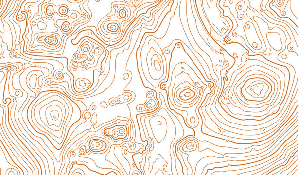 Abstract vector topographic map on white background