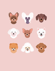 Small Breeds of Dogs Faces collection. Vector illustration of funny cartoon different breeds dogs in trendy flat style. Isolated on light pink background.