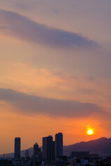 まだ夏の日差しが残る都会の道端に咲く真っ赤な彼岸花。