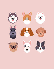 Obraz na płótnie Canvas Diverse Dogs Faces collection. Vector illustration of funny cartoon different breeds dogs in trendy flat style. Isolated on light pink background.