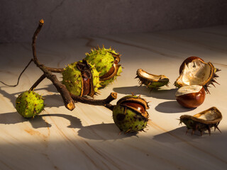 Fresh Chestnuts And Autumn Leaves. Autumn Still Life With Chestnuts.