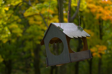 bird feeder in the park on a rainy morning