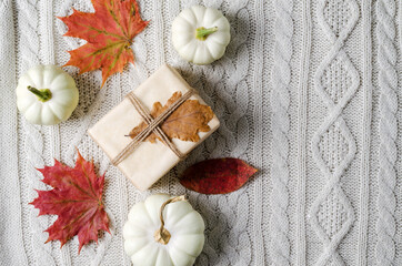 Pumpkins and a thanksgiving gift on a knitted, knitted background.