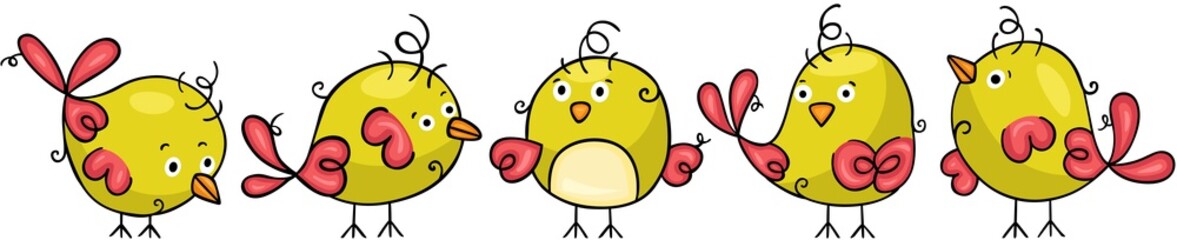 Set of funny birds in different positions
