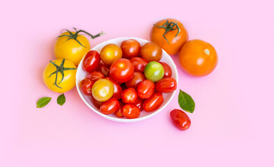 Organic Red Cherry Tomatoes and Yellow Tomatoes  on a Pink  Background 