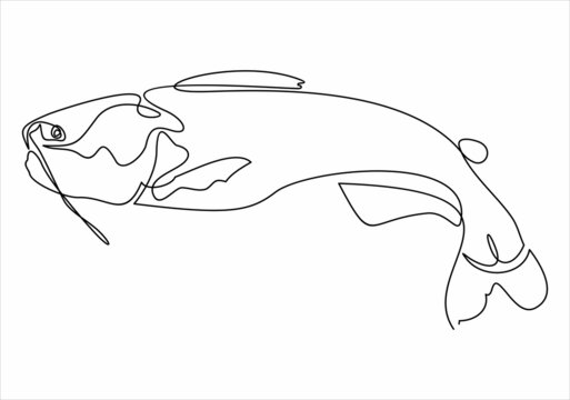 Catfish illustration drawn by one line. Minimalist style vector illustration