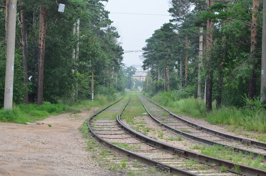 A railroad turn with trees, flying bird and building