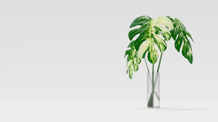 Monstera leaf spotted pattern In transparent vase placed on floor and white background. Copy space for your text or banners. 3D Render.