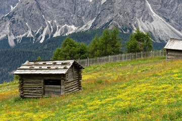 Blühende Bergwiesen mit alten Holzhütten in den Alpen, Pustertal, Südtirol, Italien 