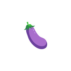 vector purple Eggplant (Solanum melongena) was isolated on a white background.