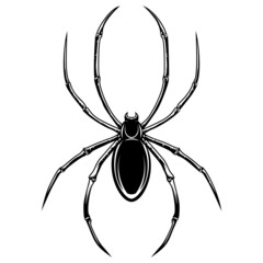 Illustration of spider. Design element for logo, label, sign, emblem, poster. Vector illustration