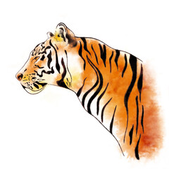 Tiger head watercolor. Endangered animal