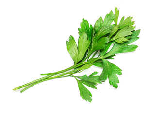 Parsley herb isolated on a white background. Fresh parsley macro. Top view
