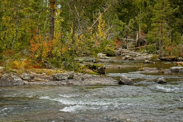 Forsaleden autumn landscape in northern Sweden