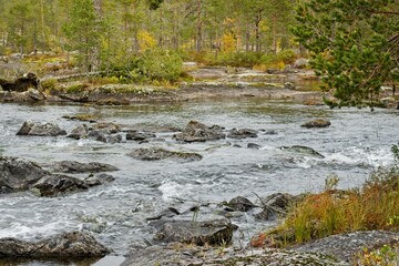 Forsaleden autumn landscape in northern Sweden - 458703586