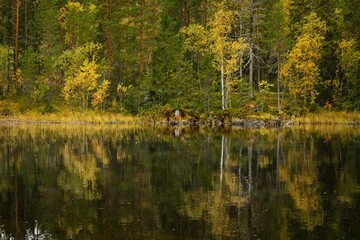 A forest in fall colors reflected in the surface of a lake in Forsaleden in northern Sweden - 458703702