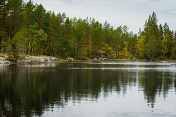 A view of a lake and forest in fall colors in Forsaleden in northern Sweden - 458703719