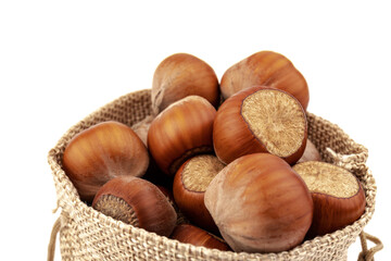 fresh hazelnuts in a canvas bag on white background
