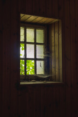 Light through an old dilapidated window with cobwebs.