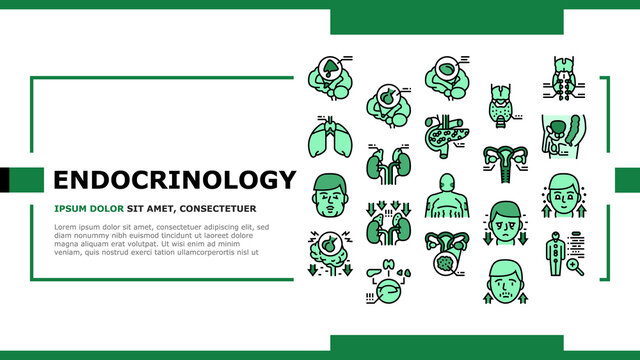 Endocrinology Medical Disease Landing Web Page Header Banner Template Vector. Parathyroid And Pituitary Gland, Acromegaly And Hypothyroidism, Hypothalamus And Adrenal Endocrinology Illustration