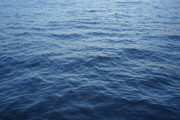 Obraz premium 横浜の海