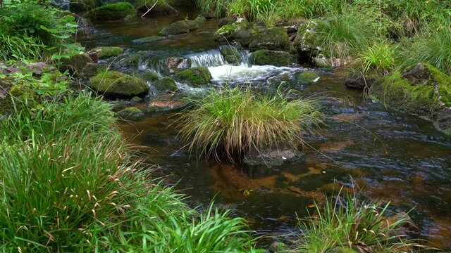 Warme Bode bei Braunlage im Harz